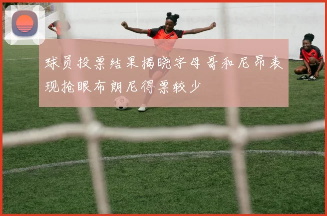 球员投票结果揭晓字母哥和尼昂表现抢眼布朗尼得票较少