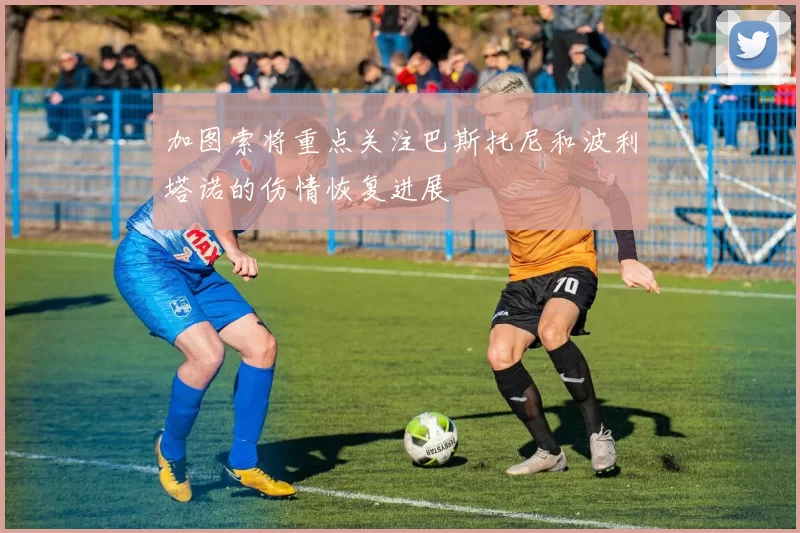 加图索将重点关注巴斯托尼和波利塔诺的伤情恢复进展